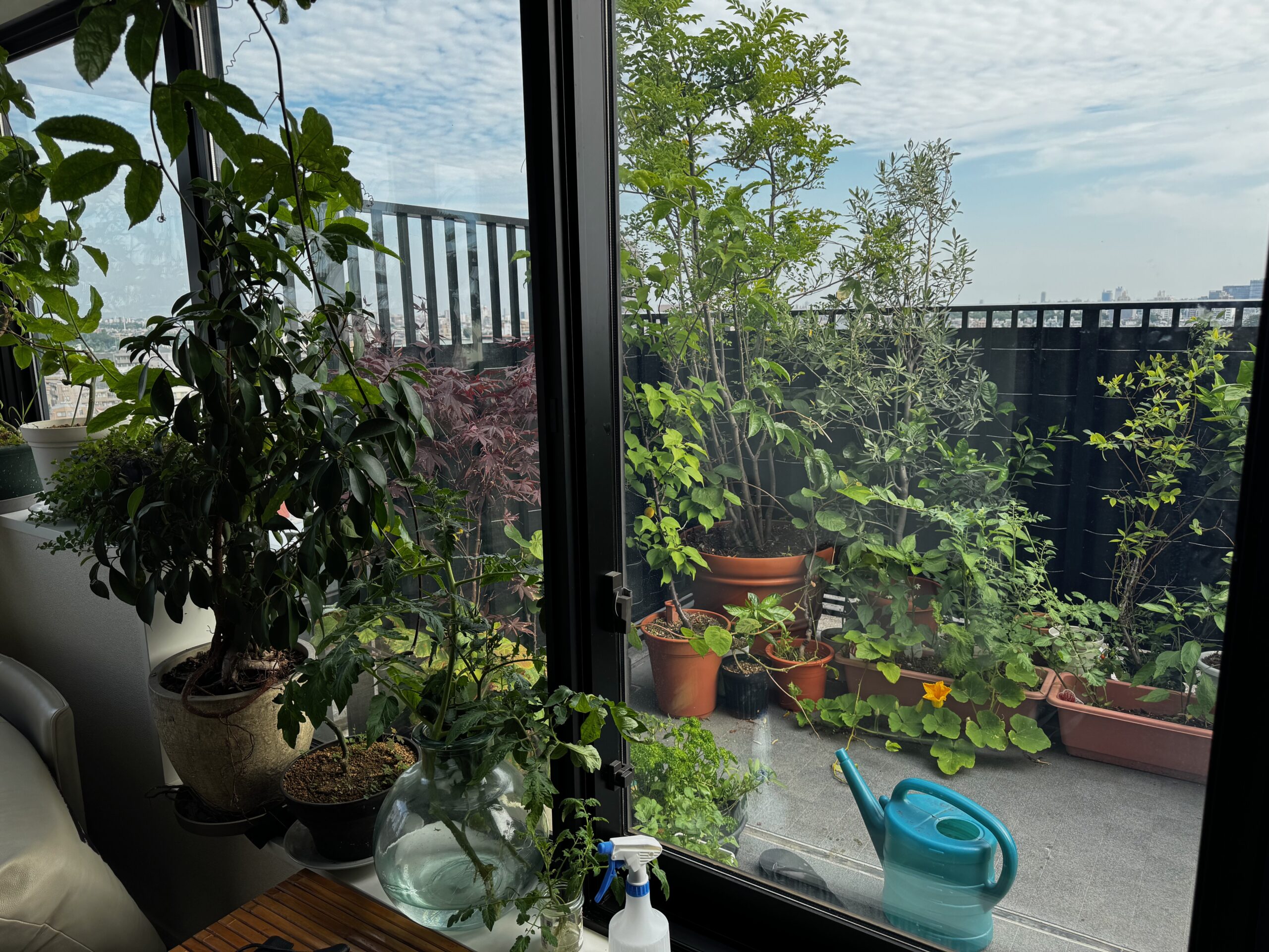 Balcony garden